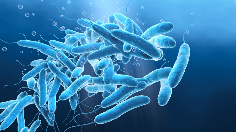 Ny guide skal sikre at Legionella måles rigtigt første gang